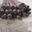 5"x8'-posts-image-11