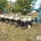 kinze-2100-image-5