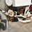 willmar-500-image-7