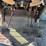 agco-rt100a-image-80