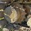 komatsu-pc88mr-8-image-15