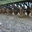 john-deere-8300-image-10