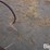 7'-field-cultivator-image-20