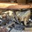 2020-polaris-ranger-500-image-24