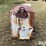 bar-6-cake-feeder-image-8