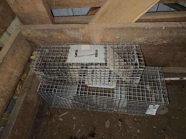 (2)-live-traps,-located-in-shed-image-3