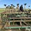 john-deere-1010-image-11