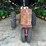 1957-case-ih-450-image-2