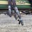 2011-john-deere-1770nt-image-12