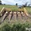 new-holland-974-image-2