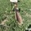 john-deere-80-image-4
