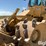 caterpillar-816b-image-9