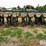great-plains-yp825a3p-image-6