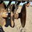 wishek-714-nt-tandem-disc-image-21