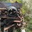 #153-•-pats-barn-sweep-conveyor-image-33