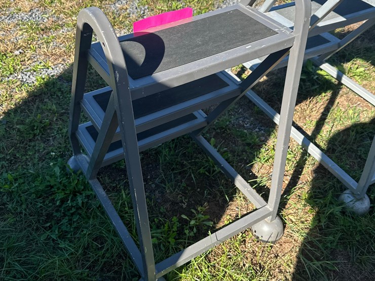 step-ladder-image-3