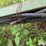john-deere-1010-image-10