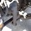 2012-freightliner-mt55-image-30