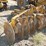 rome-tm2030-disc,-sn:5tm650-image-2