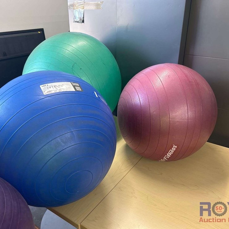 Fitness Accessories