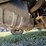 2002-jeep-grand-cherokee-image-59