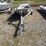 #146-•-alluminum-crawfish-pond-skiff-with-trailer-image-2