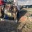 #119-•-diesel-enginge-for-parts-and-repairs-image-4