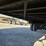 2008-wilkens-walking-floor-image-79