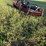 3pt-wood-splitter-verticle-image-12