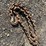 heavy-chain-image-2