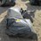 #2024-•-lot-of-(3)-bags-duck-decoys-inv#-29902-image-2