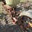 #2017-•-2-row-planter-inv#-29998-image-5