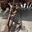 tye-pasture-pleaser-image-12