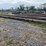#156-•-lot-of-1-pipe-image-3