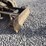 caterpillar-301.7d-cr-image-15
