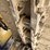 caterpillar-d5n-lgp-image-23
