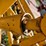 vermeer-r23-image-21