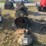 #119-•-diesel-enginge-for-parts-and-repairs-image-5