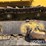 2022-komatsu-d65px-18-image-18