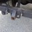 1996-ford-f-series-16'-s/a-flatbed-truck-image-10