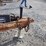 10'-s/a-dump-trailer-image-14
