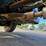 dodge-800-image-67