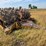 #21146-•-dual-drum-sheeps-foot-image-30
