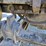 2015-peterbilt-579-image-66