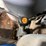 new-holland-tn60da-image-24
