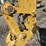 caterpillar-317-image-10
