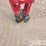2022-yanmar-vio35-6a-image-11