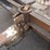 1998-pacific-nw-trailer-16'-t/a-tilt-deck-trailer-image-9