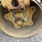 caterpillar-cb24-image-12