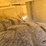 terex-3303-image-70